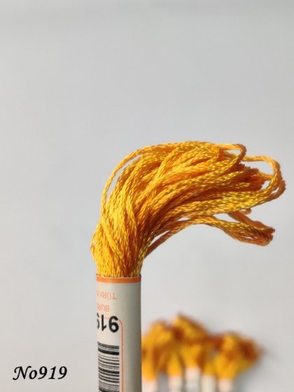 919 (DMC783) (1) (Medium) 560x560